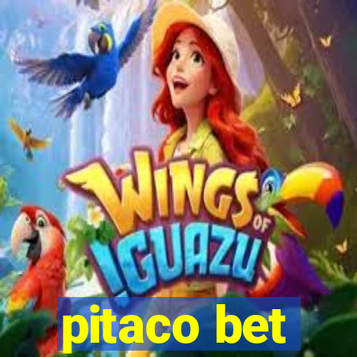 pitaco bet